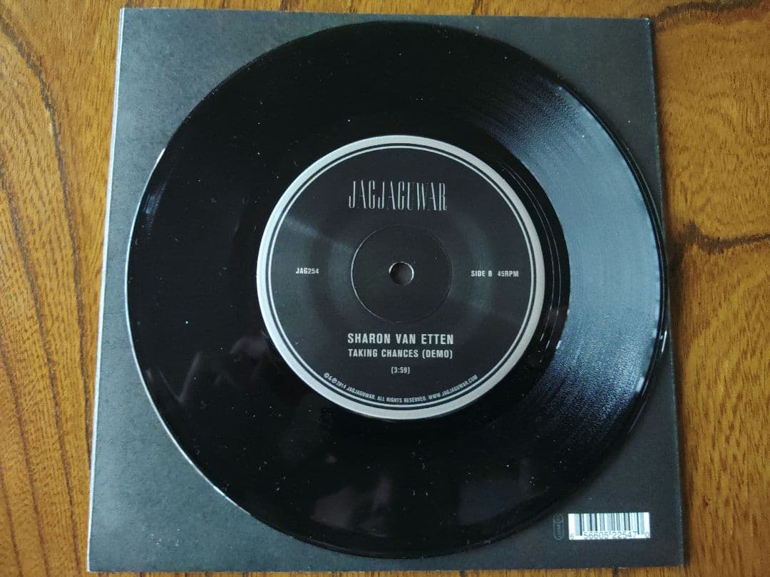 Sharon Van Etten シャロン・ヴァン・エッテン 7インチ レコード