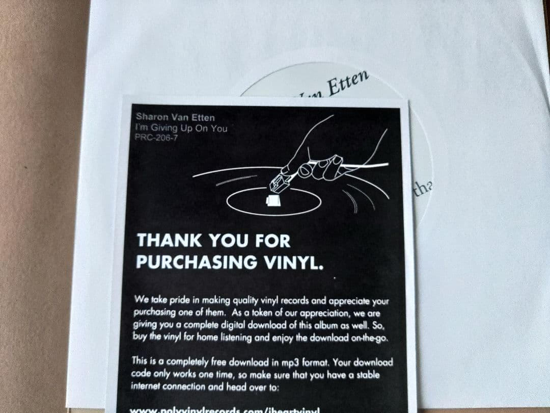 Sharon Van Etten シャロン・ヴァン・エッテン 7インチ レコード