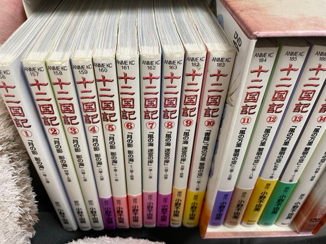 十二国記 アニメ全15巻 小野不由美 アニメdvd付き
