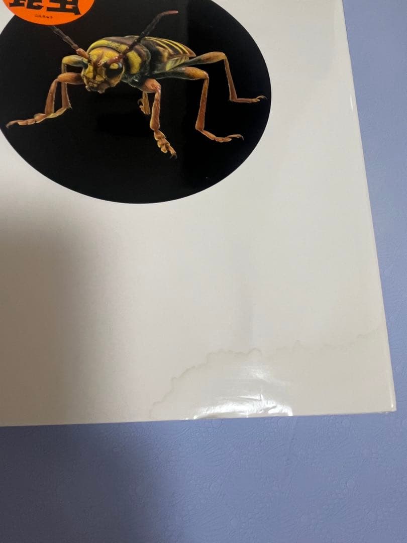 ５冊　MOVE 危険生物、生き物の不思議、動物、昆虫、爬虫類両生類　DVD付き
