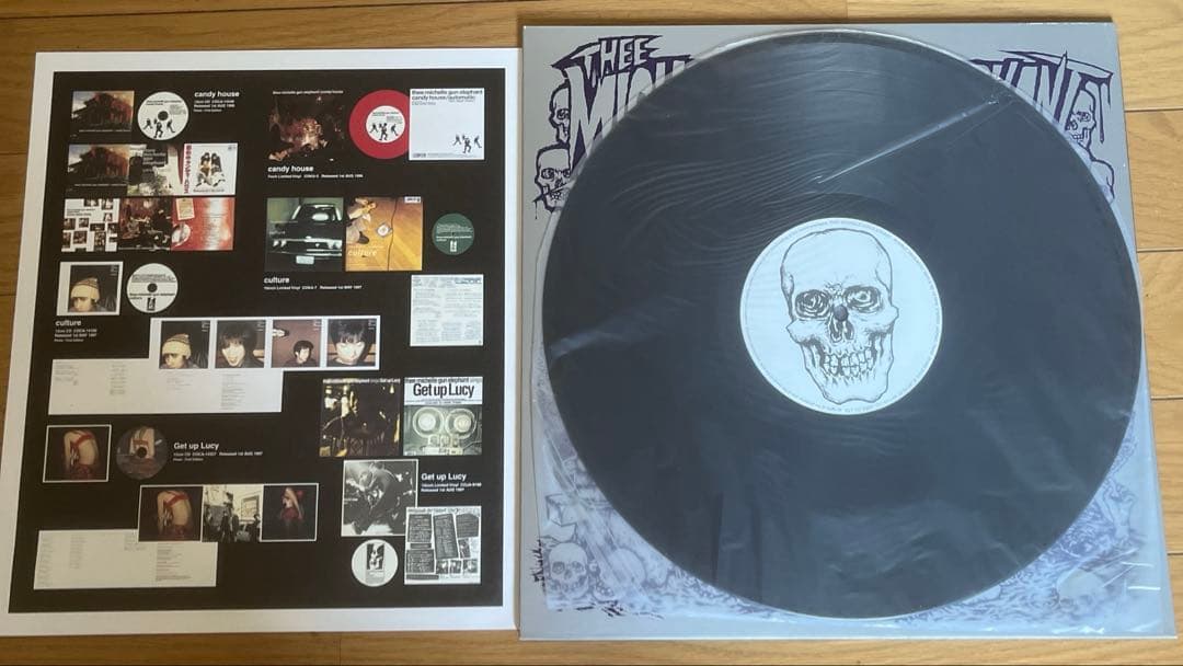 邦楽 THEE MICHELLE GUN ELEPHANT RUMBLE