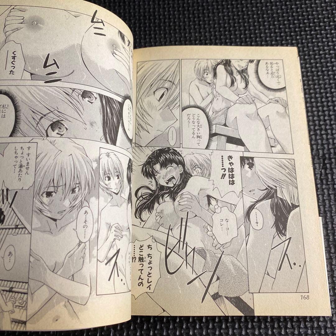 【レア・全巻初版】新世紀エヴァンゲリオン 碇シンジ育成計画　全18巻　高橋脩