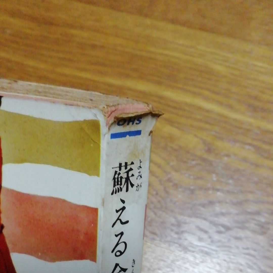 大藪春彦　30冊
