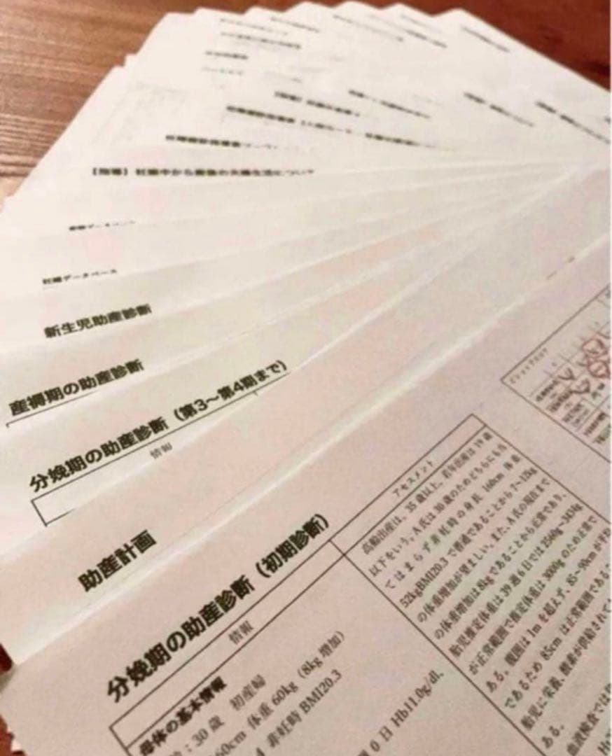 助産師　助産学生　実習ポケットノート 助産師国家試験　対策　就職　まとめノート
