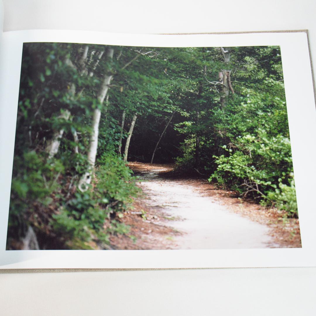 鈴木理策 写真集「知覚の感光板」Risaku Suzuki 初版