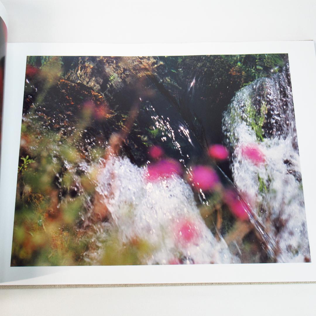 鈴木理策 写真集「知覚の感光板」Risaku Suzuki 初版