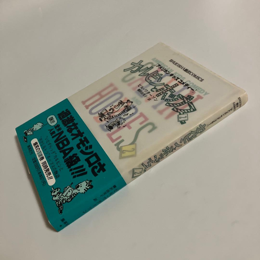 カルビンとホッブス : American kids comedy 2