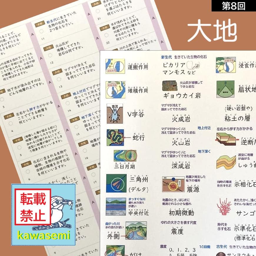 カット済☆最新版【中学受験】理科の基本事項 暗記カード フルセット 早稲アカa