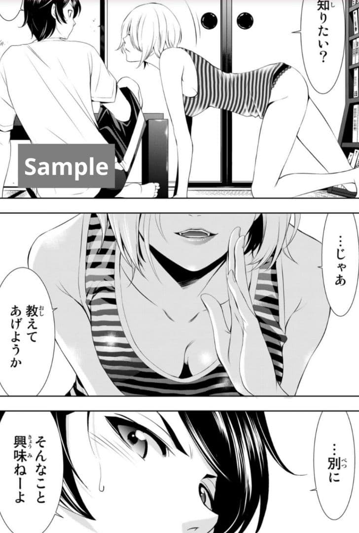 【全17巻初版 未開封】女神のカフェテラス