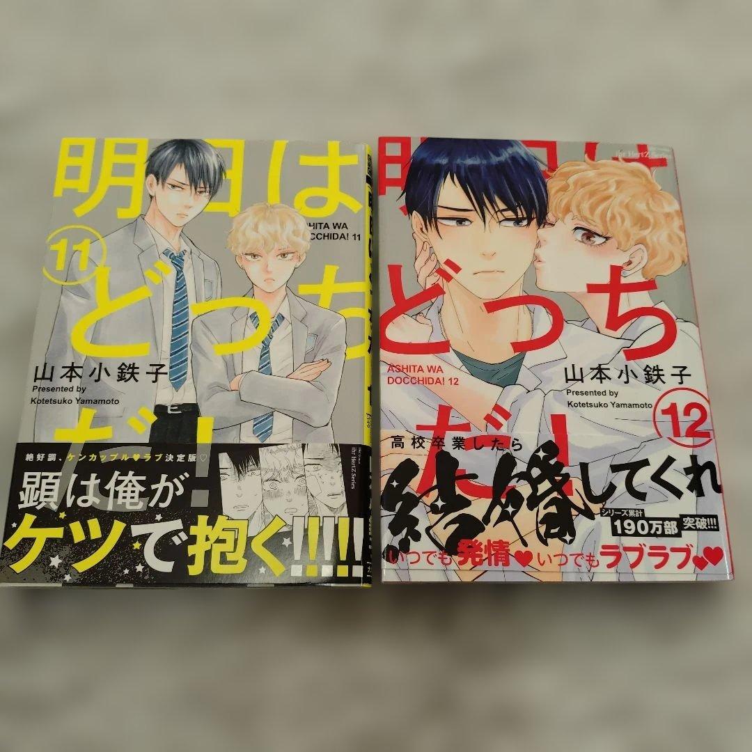 明日はどっちだ! 1〜12巻