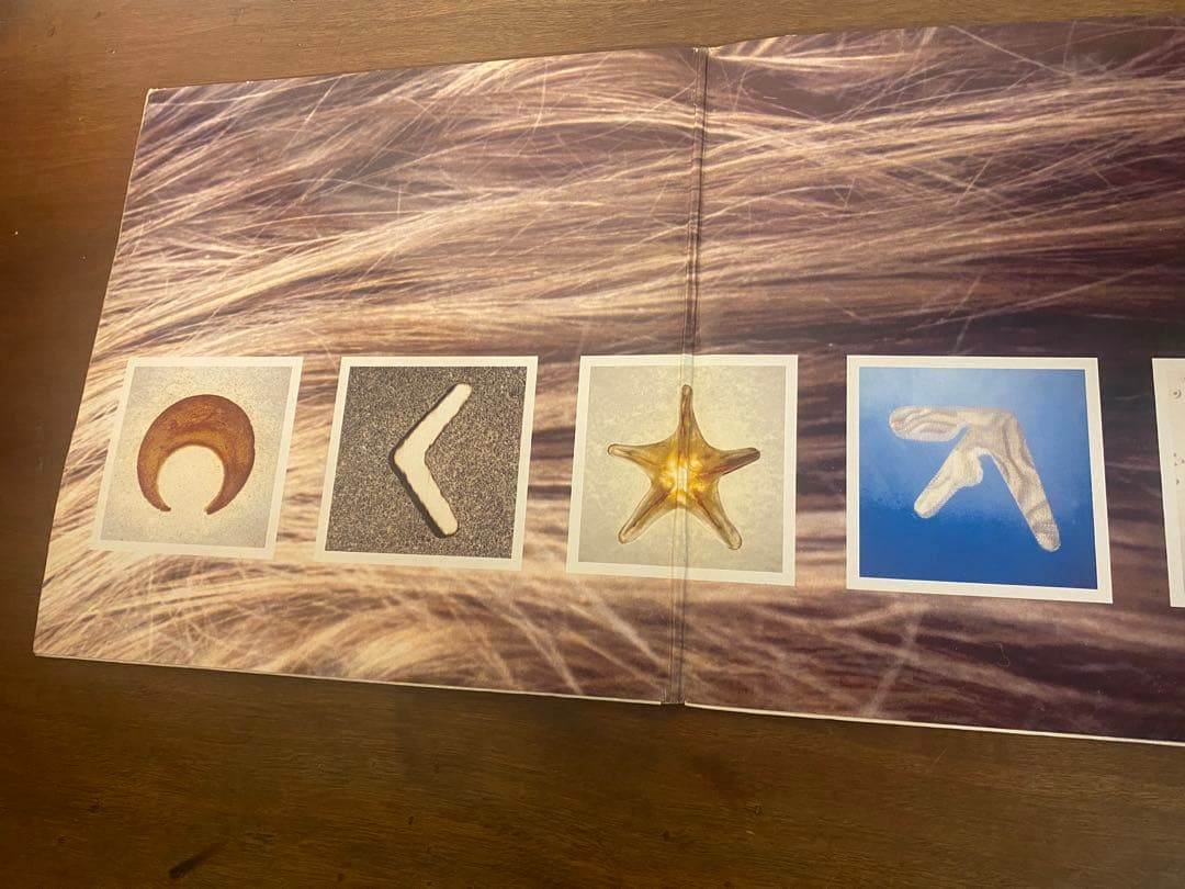 The Aphex Twin – Classics【2LP】