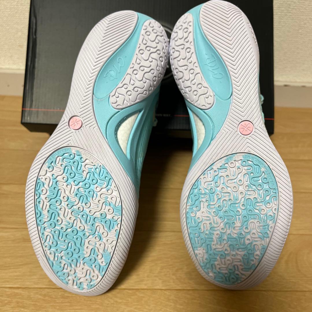 値下げ　リーニン バッシュ 27㎝　Wade Ice Blood 2