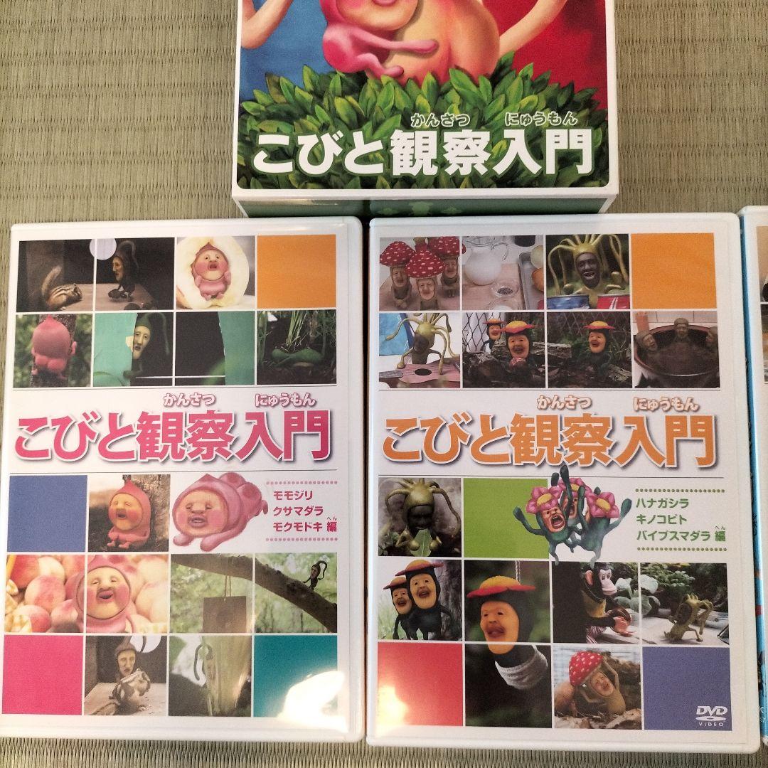こびとづかん　観察入門 　DVD 4枚