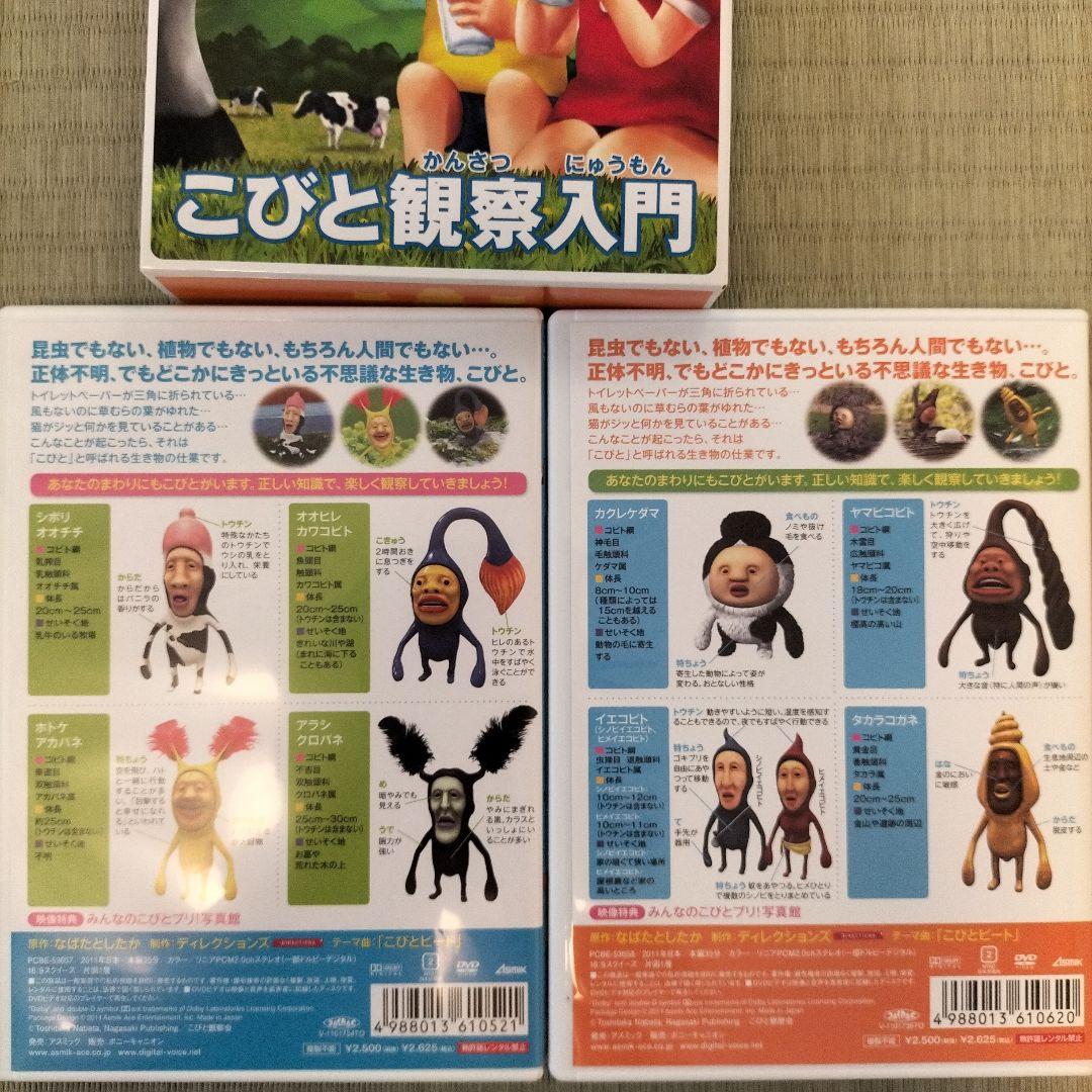 こびとづかん　観察入門 　DVD 4枚