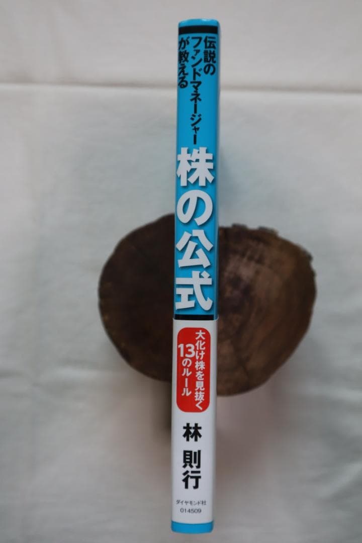 伝説のファンドマネージャーが教える株の公式 林則行著