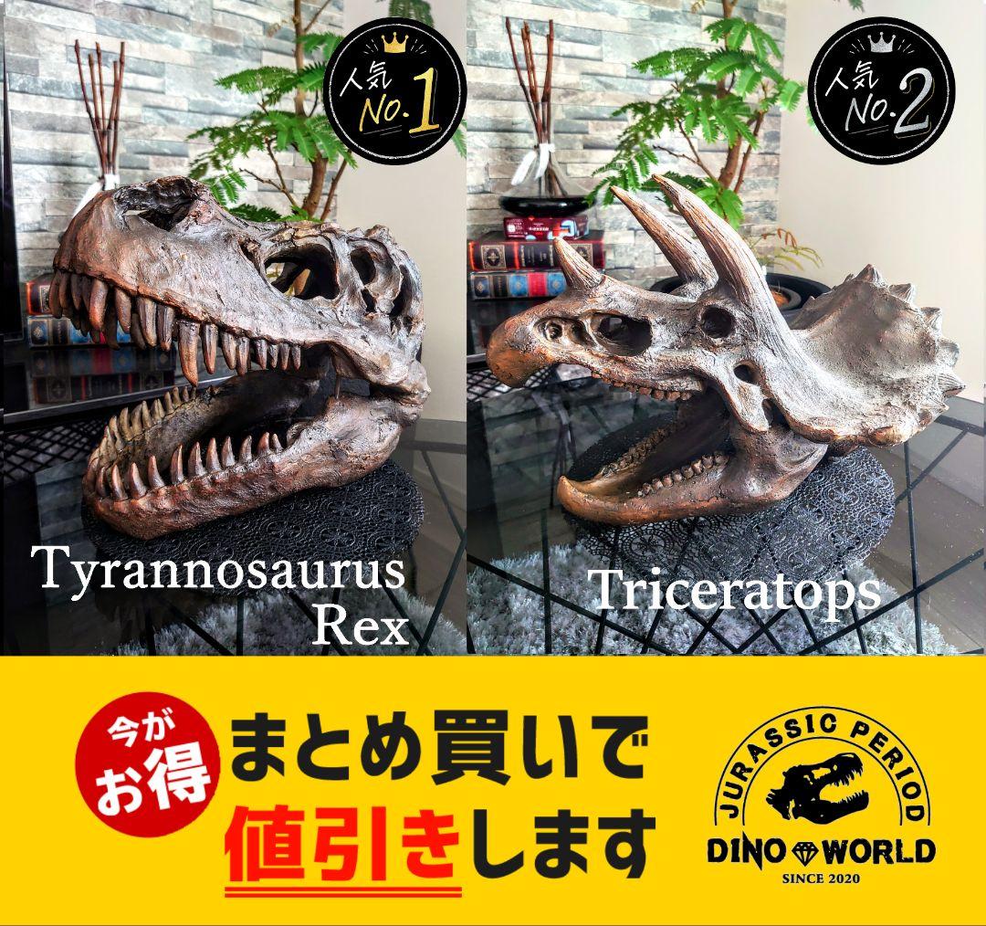 【DINOWORLD】トリケラトプス 頭骨レプリカ 化石 ティラノサウルス