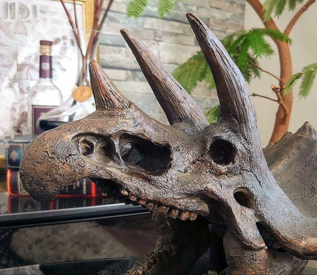 【DINOWORLD】トリケラトプス 頭骨レプリカ 化石 ティラノサウルス