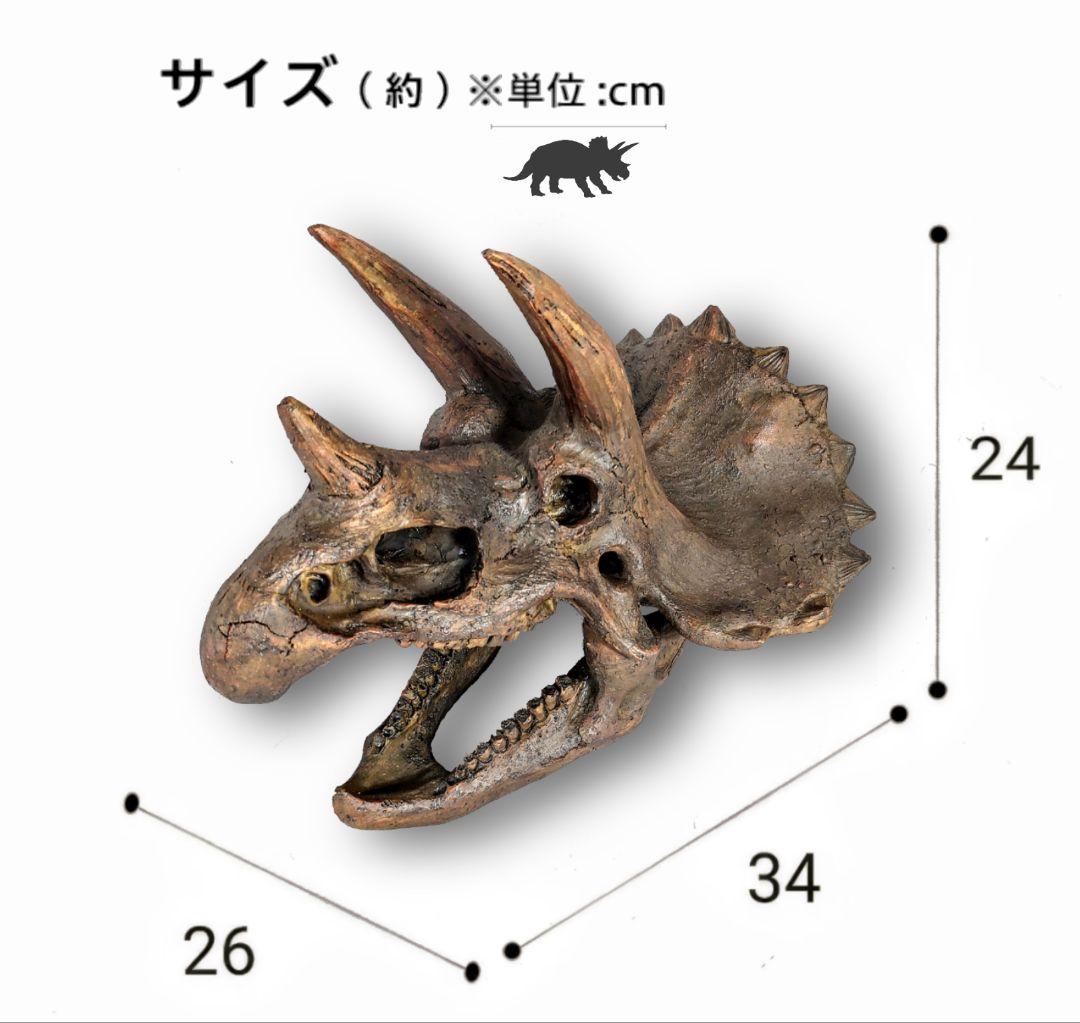 【DINOWORLD】トリケラトプス 頭骨レプリカ 化石 ティラノサウルス