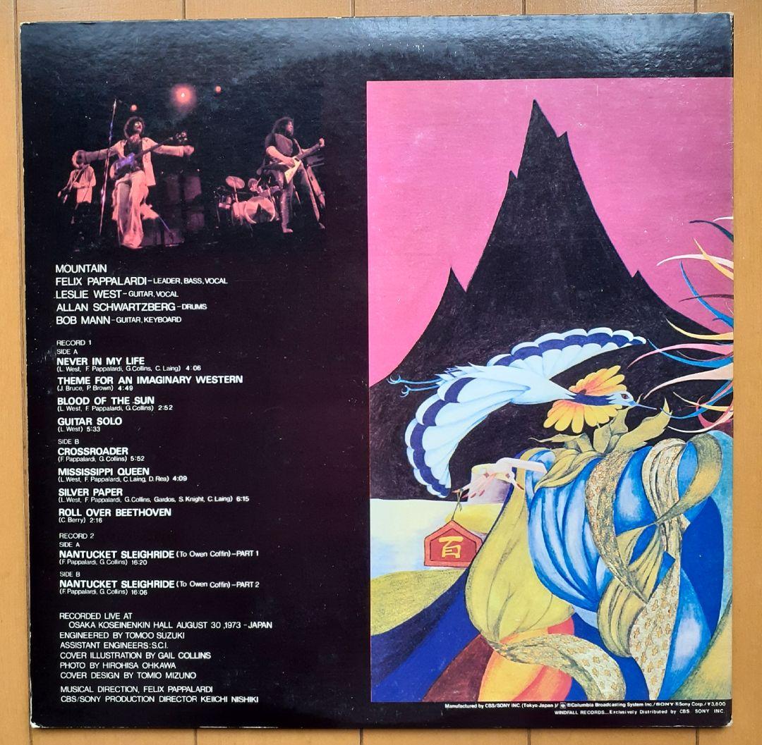 洋楽 Mountain Twin Peaks LP