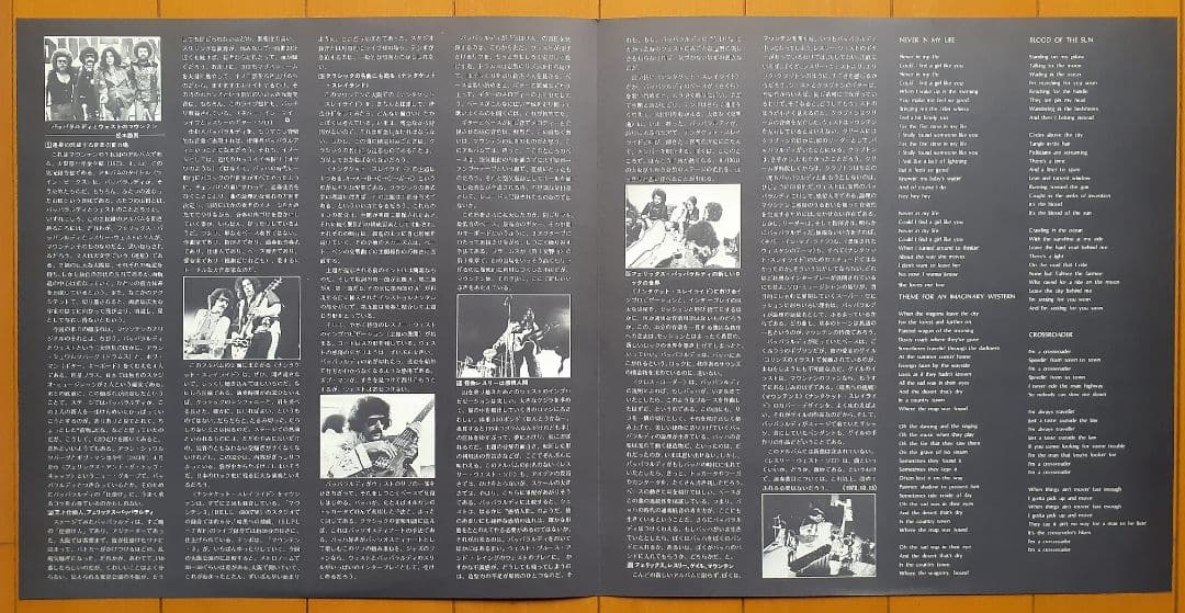 洋楽 Mountain Twin Peaks LP