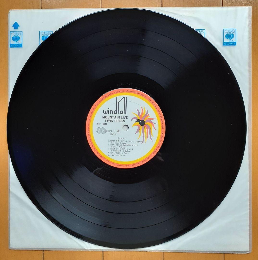 洋楽 Mountain Twin Peaks LP