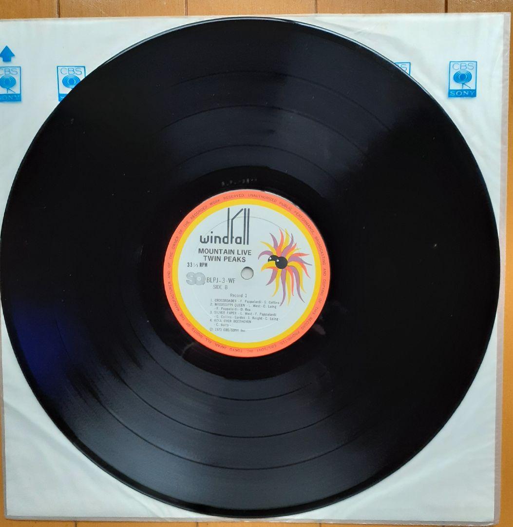 洋楽 Mountain Twin Peaks LP
