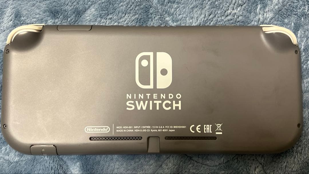 Nintendo Switch Liteジャンク品　充電器付き