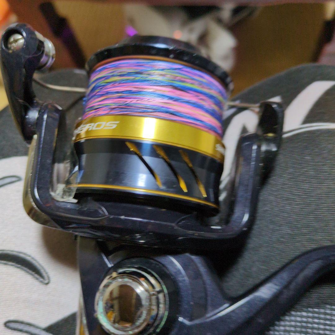 リール SHIMANO SW 6000PG