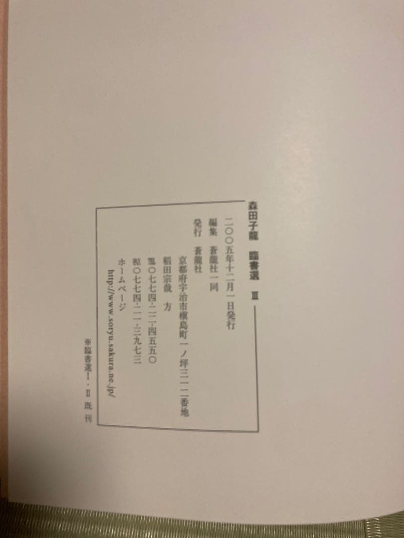 ⭐︎書道書　森田子龍　臨書選　全三巻　美品