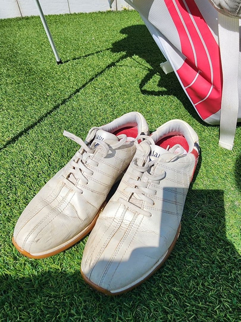 期間値引き　TaylorMade レディース L フルセットトラベルカバー付き！