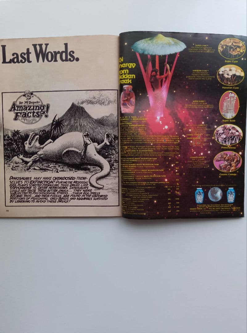 80s/VINTAGE/HIGH−TIMES/MAY/1981/洋雑誌。