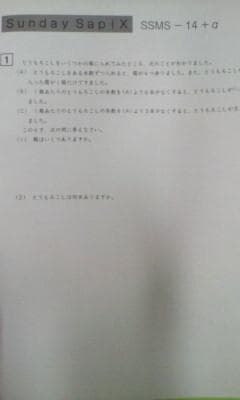 サピックス・難関校ＳＳ特訓＊６年＊算数／武蔵 対策プリント 全２４回完全版＊貴重