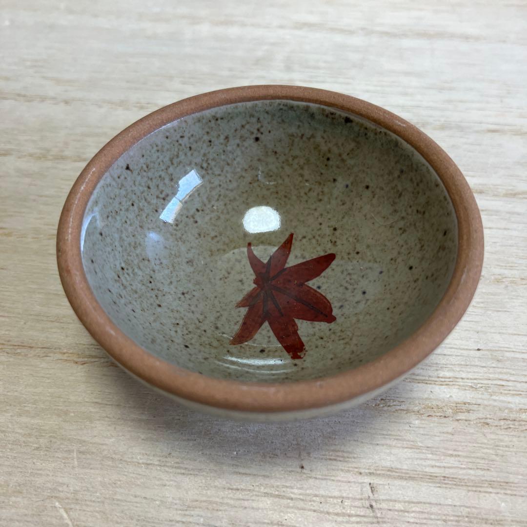 D-4 ②土瓶 急須 湯呑み セット 茶器 紅葉 もみじ 陶器 藤手 和食器