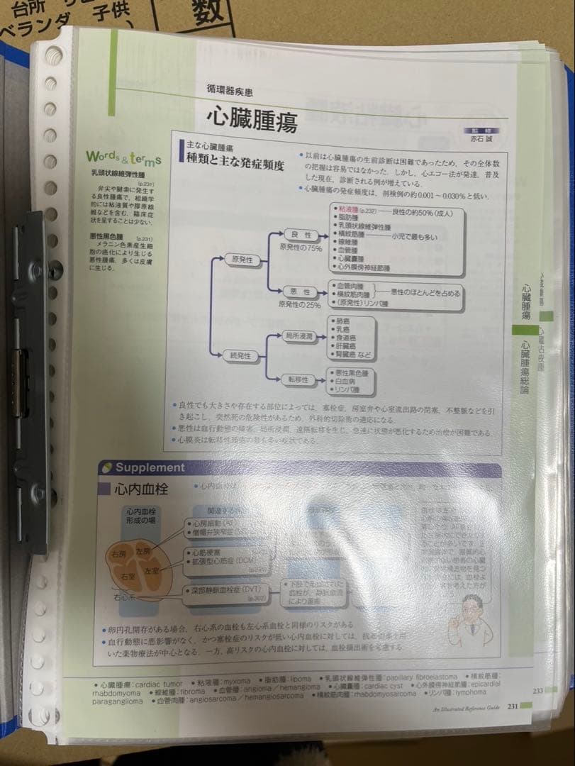 【裁断済み】　病気がみえる　9点セット 薬がみえる　3点セット
