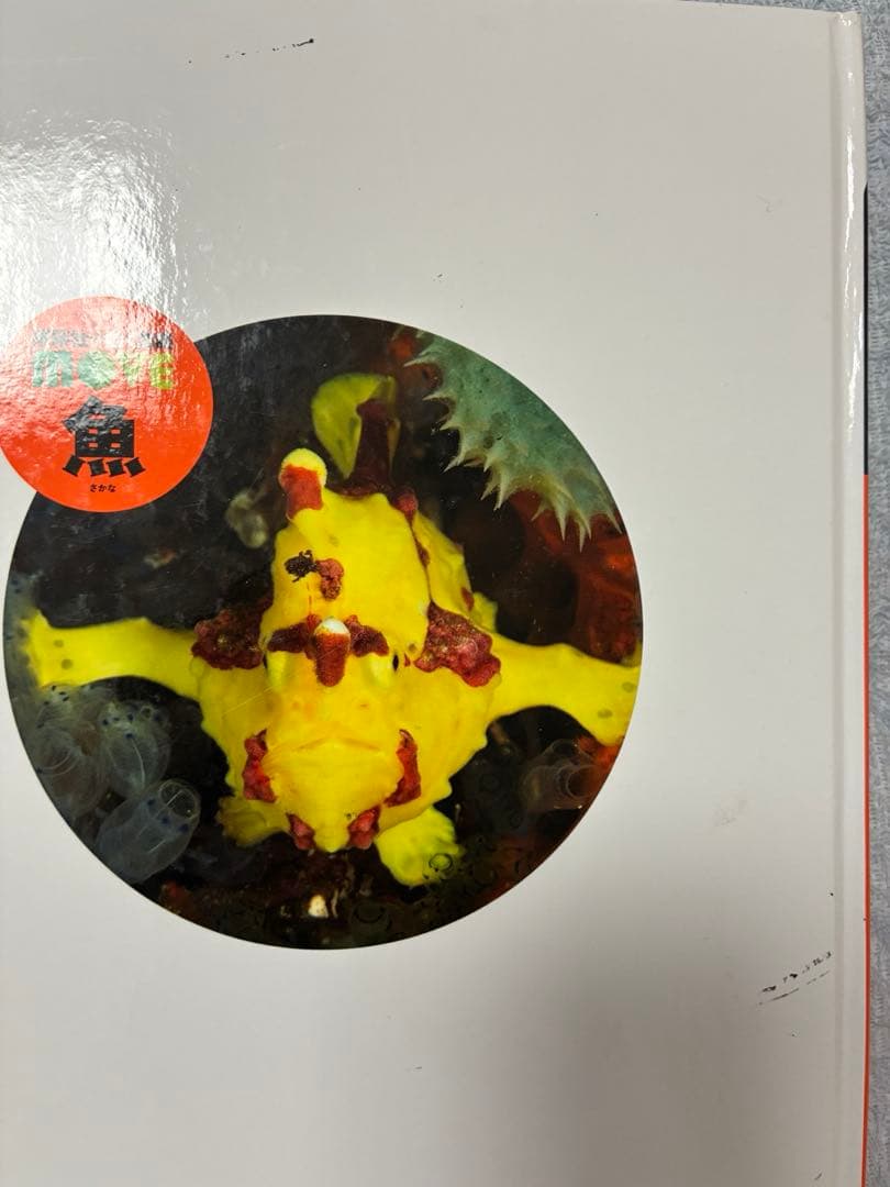 講談社の動く図鑑MOVE10冊セット
