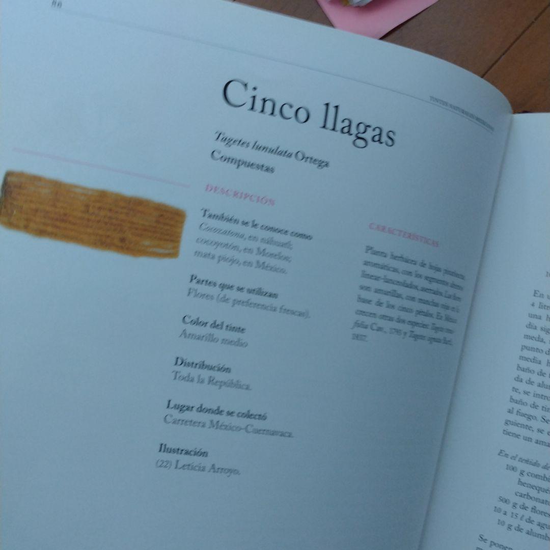 アート・デザイン・音楽 Tintes Naturales Mexicanos