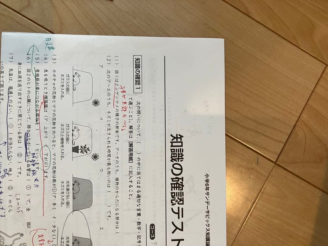 【ほぼ未使用状態】サピックス6年理科　SS特訓　知識論理力講座　全14回