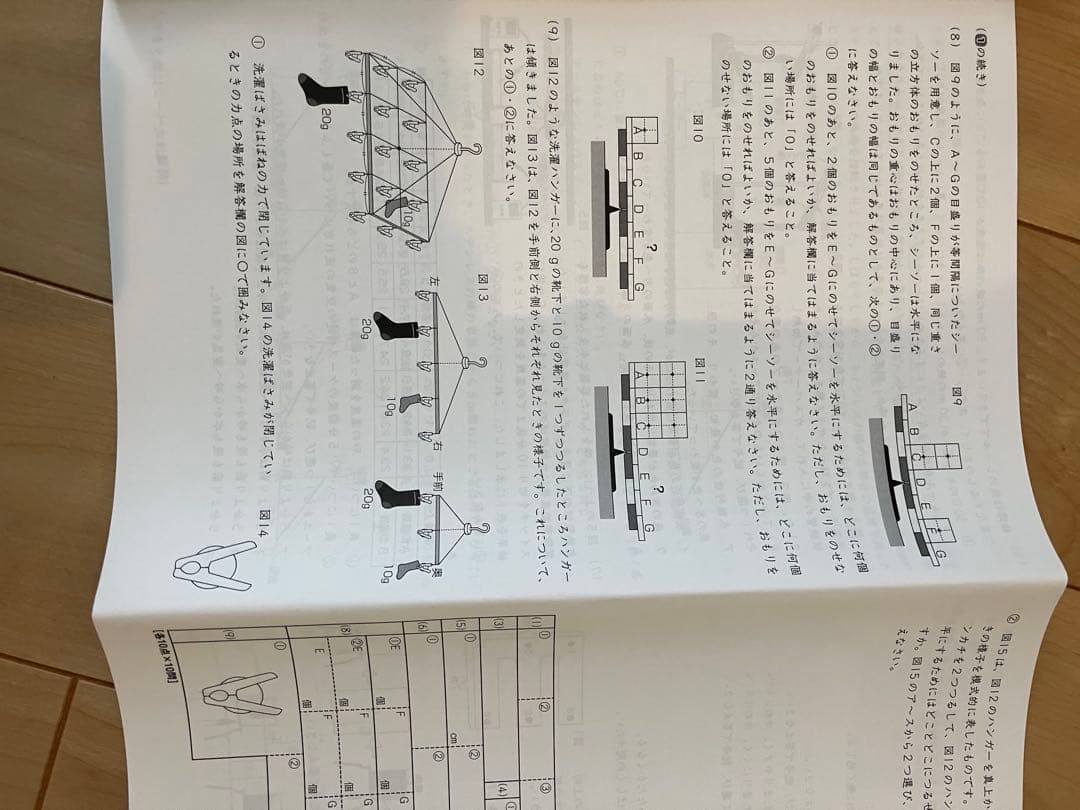 【ほぼ未使用状態】サピックス6年理科　SS特訓　知識論理力講座　全14回