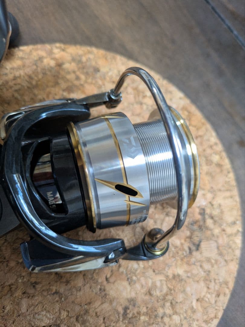 ルビアス LT3000XH SLPワークス RCS55 スプール ベアリング追加
