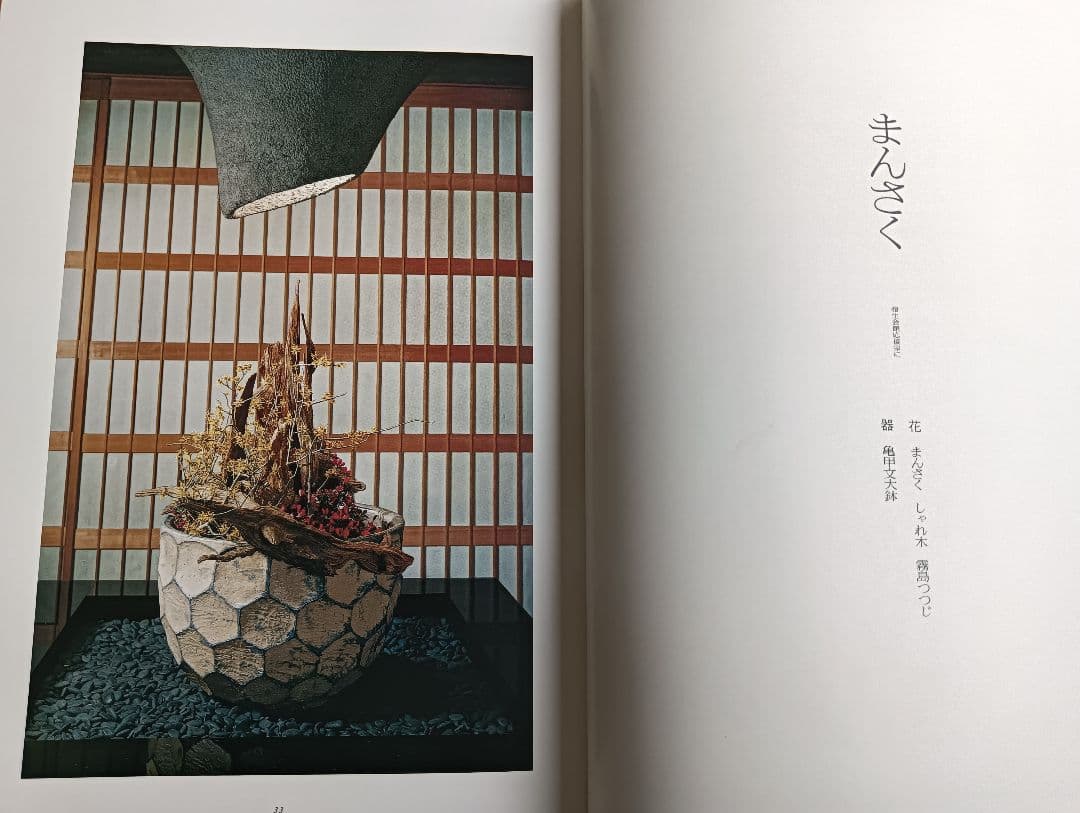 華泉の花