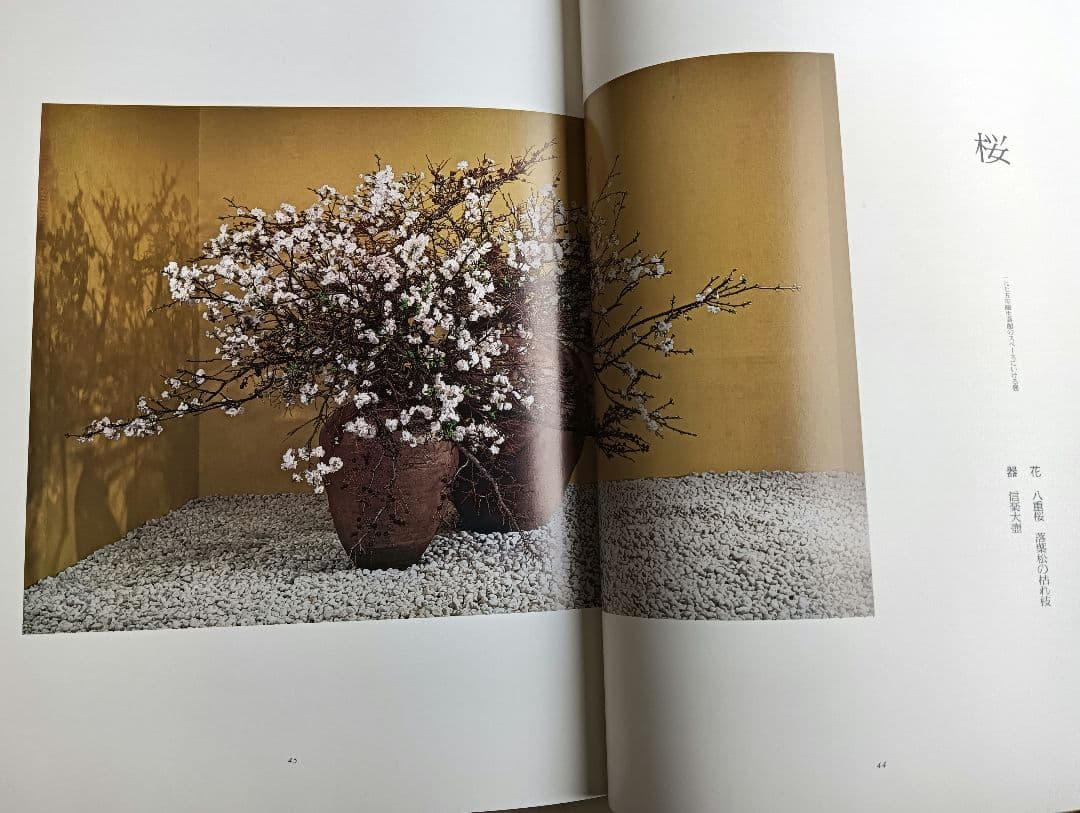 華泉の花