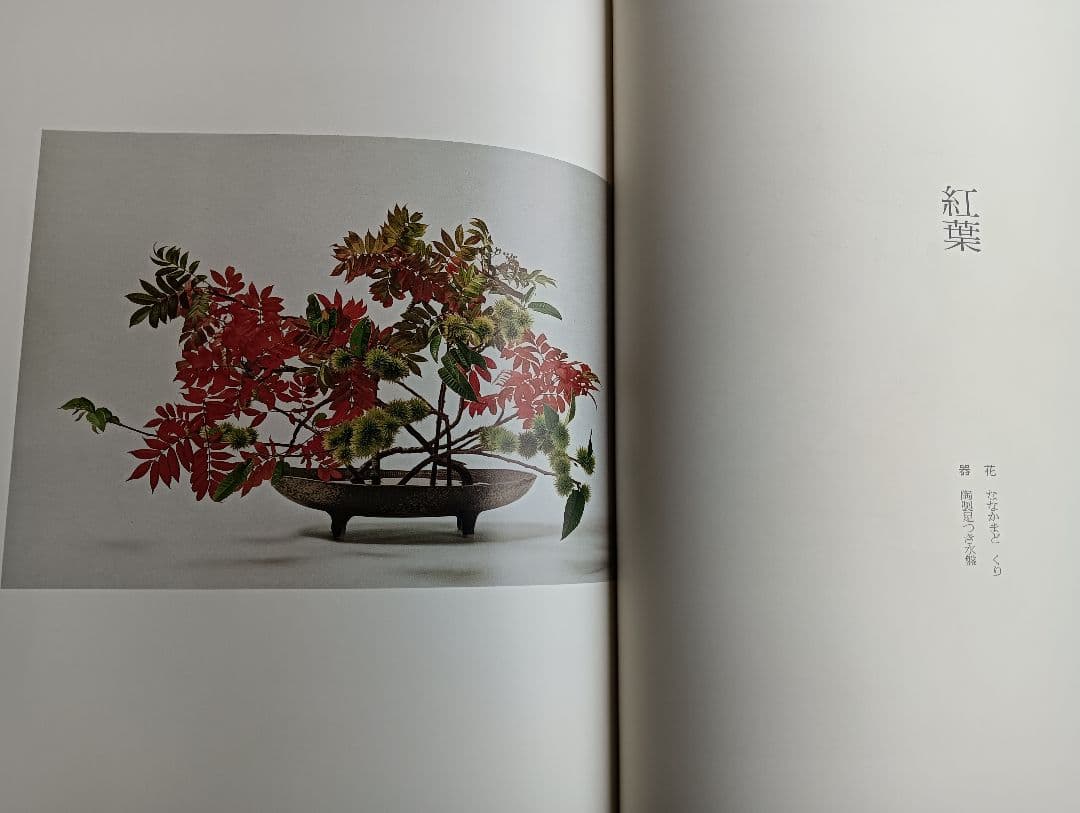 華泉の花
