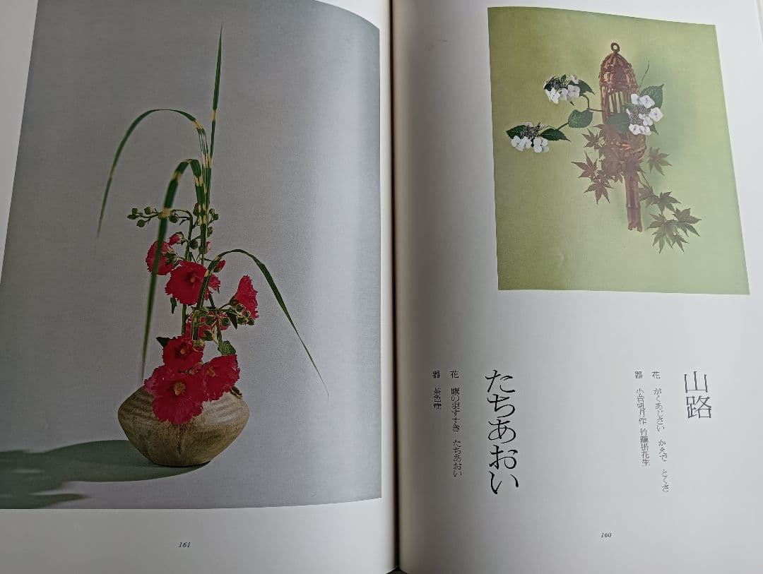 華泉の花