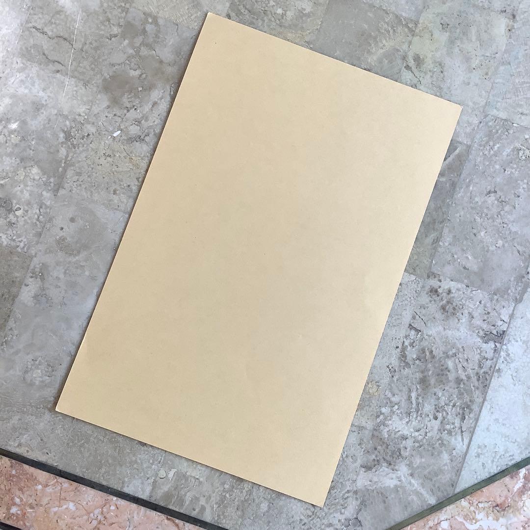レア!アップル矢印帯 レコード新品同様! ビートルズ NO,2 補充票付 ペラ