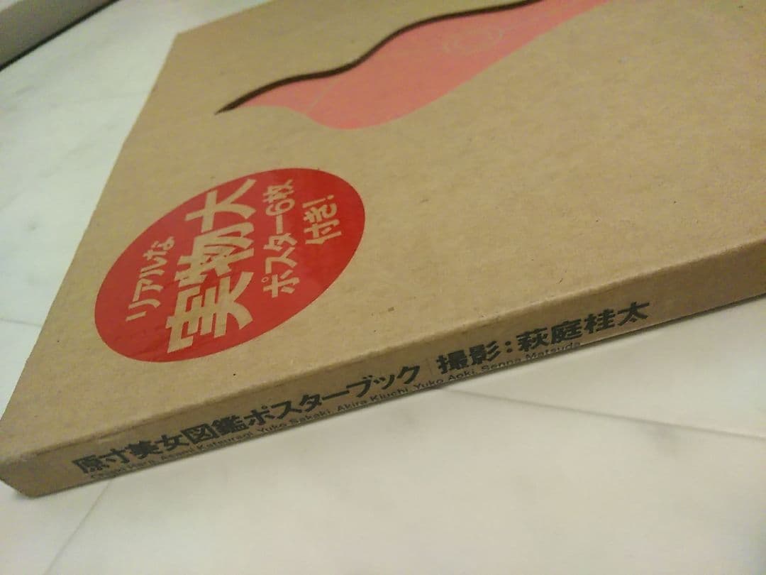 原寸美女図鑑ポスターブック 青木裕子、原千晶、坂木優子、桂木亜沙美、松田千奈