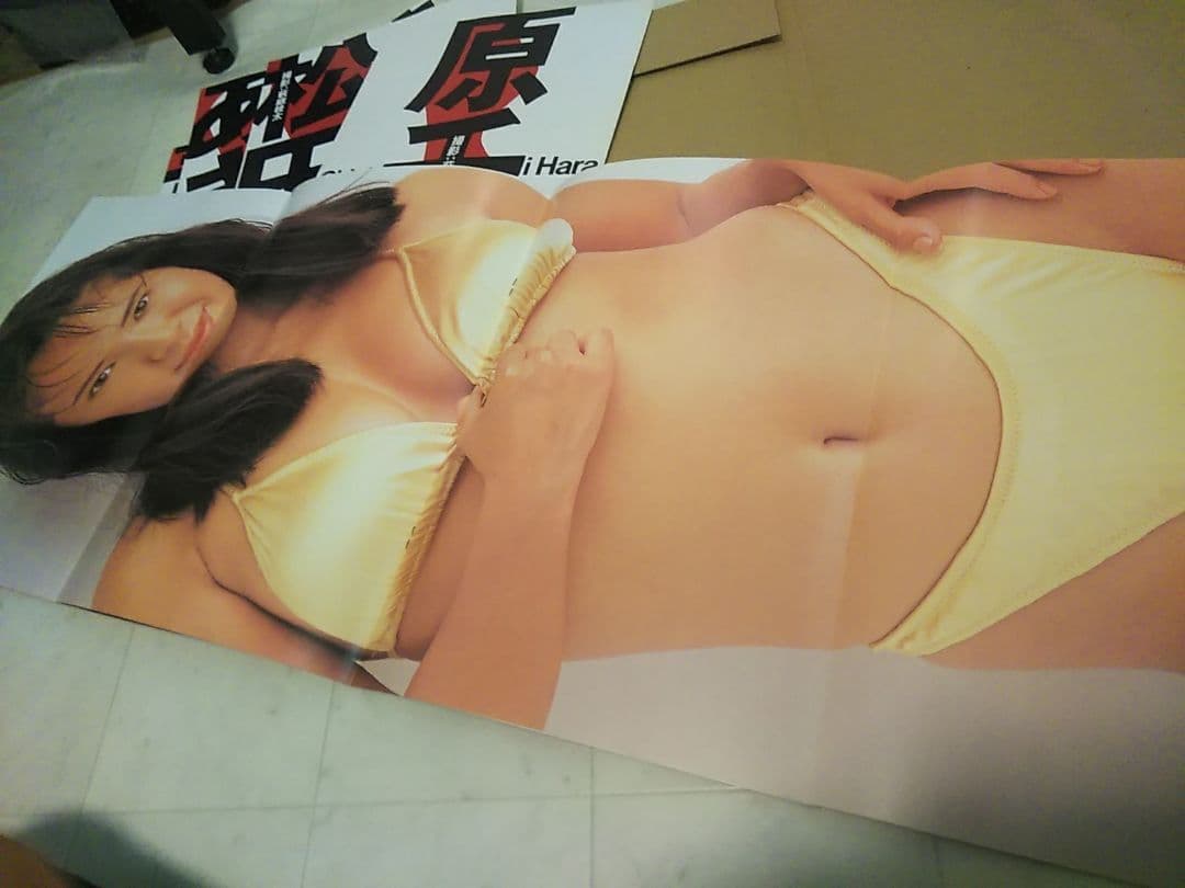 原寸美女図鑑ポスターブック 青木裕子、原千晶、坂木優子、桂木亜沙美、松田千奈