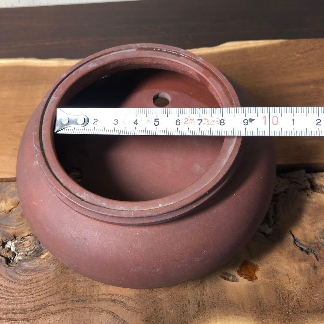 中国宜興　小品盆栽鉢