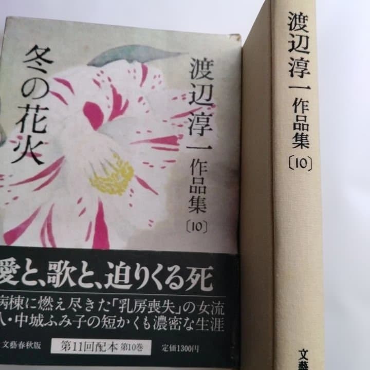渡辺淳一 作品集 全23巻セット