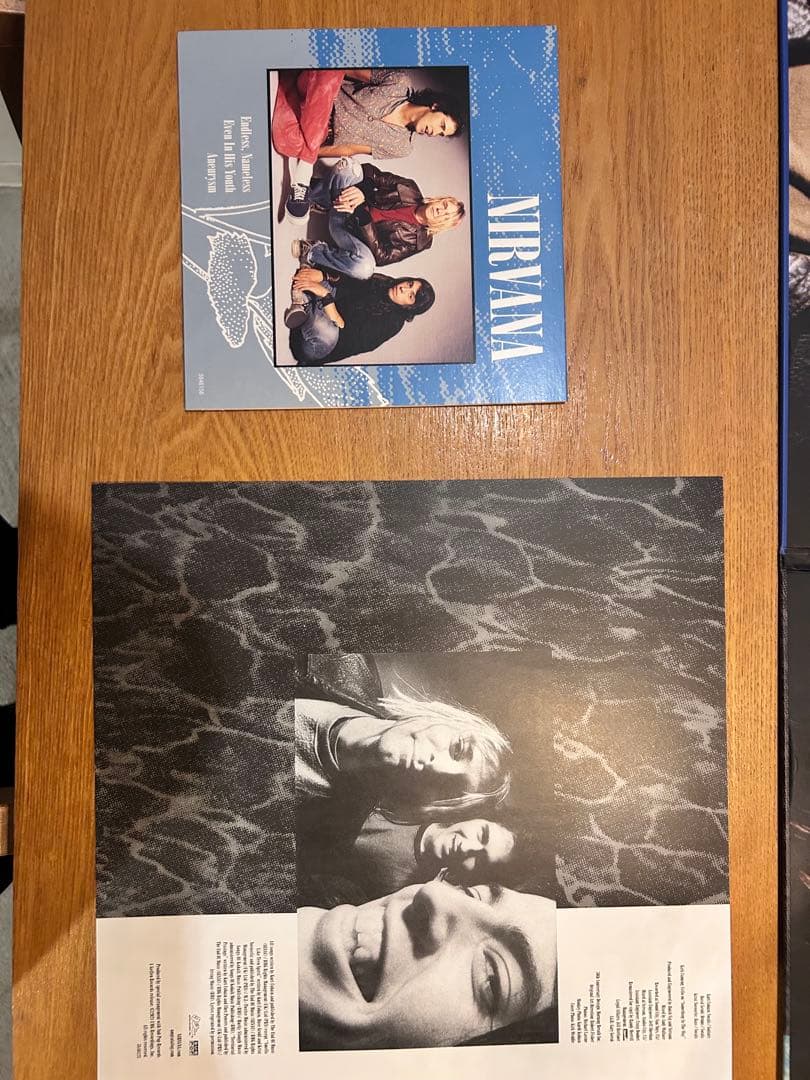 ニルヴァーナネヴァーマインド30周年記念盤中古レコードLP美品