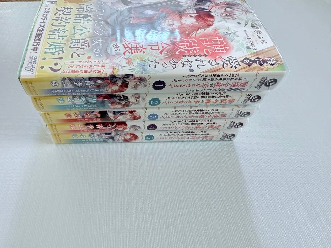 誰にも愛されなかった醜穢令嬢が幸せになるまで